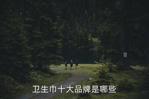 衛(wèi)生紙品牌排行榜，品牌衛(wèi)生巾的排行榜前十名是哪些得伴是什么
