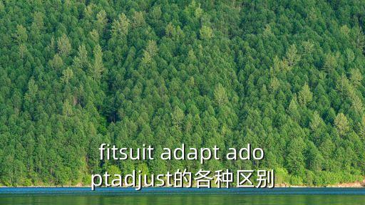 fitsuit adapt adoptadjust的各種區(qū)別