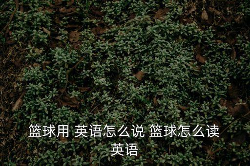 英語籃球,一文看懂nba新傳統