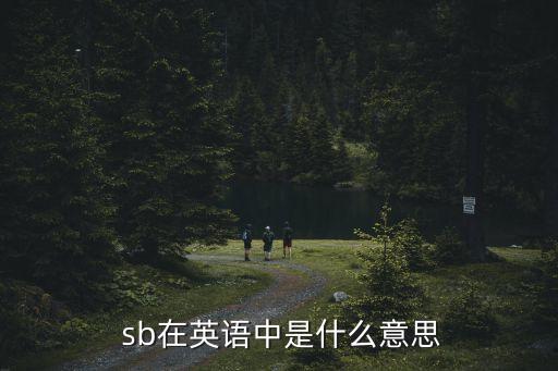  sb在英語中是什么意思
