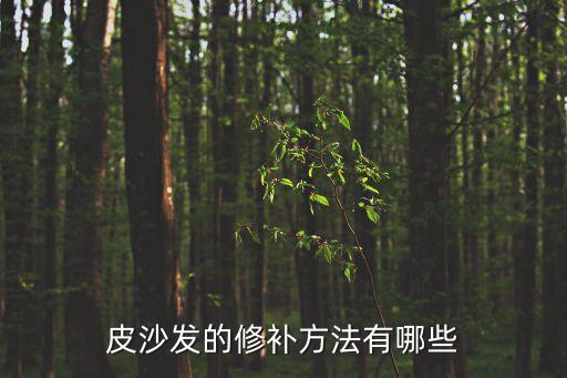 皮沙發的修補方法有哪些