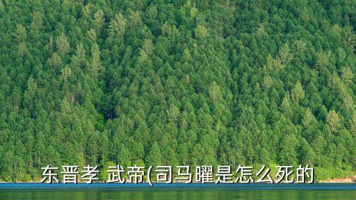 孝武帝,武帝繼續加強集權帶走大批王室和侯爵