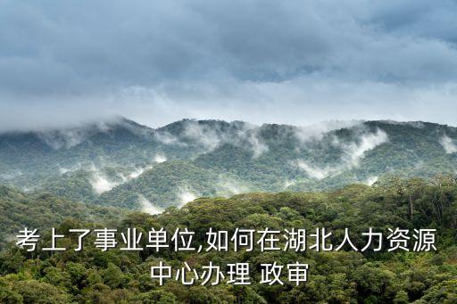 政審函模板,湖北人力資源中心:復試前沒有政審這個環節