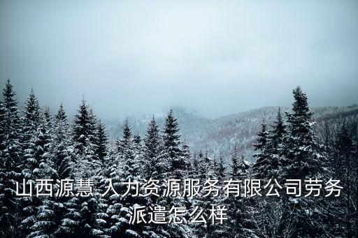 山西省人力,山西慧遠人力資源服務有限公司查看更多公司信息