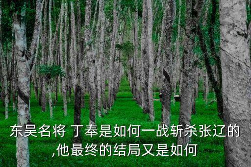 丁奉,神彈珠奉獻(xiàn)給東吳四君主