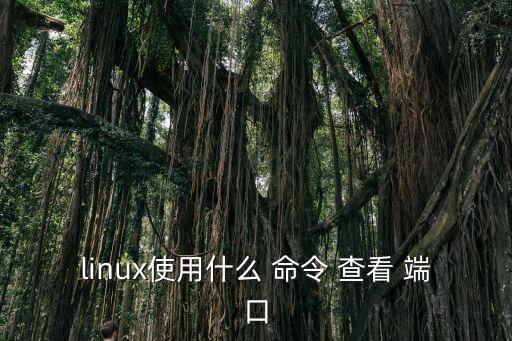 linux使用什么 命令 查看 端口