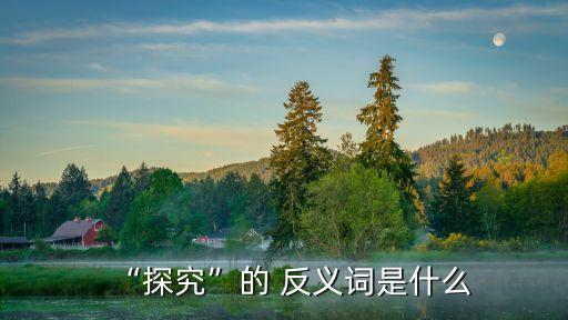 研究的反義詞,探索反義詞:放棄