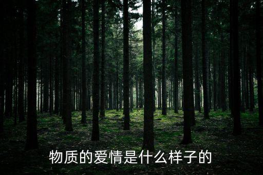 物質愛情，物質與愛情到底是怎樣的關系