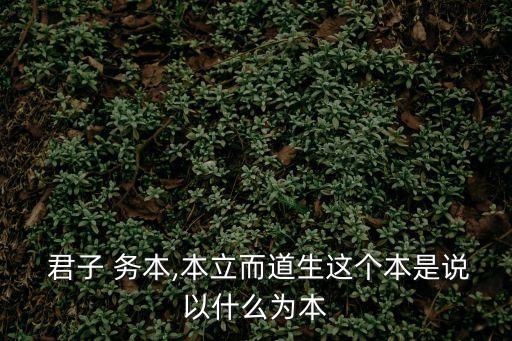  君子 務本,本立而道生這個本是說以什么為本