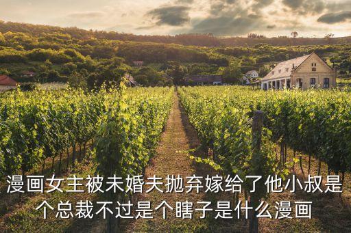 漫畫女主被未婚夫拋棄嫁給了他小叔是個(gè)總裁不過(guò)是個(gè)瞎子是什么漫畫