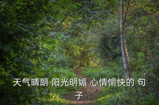 陽(yáng)光好心情好的句子,心情好運(yùn)氣好，我會(huì)飛