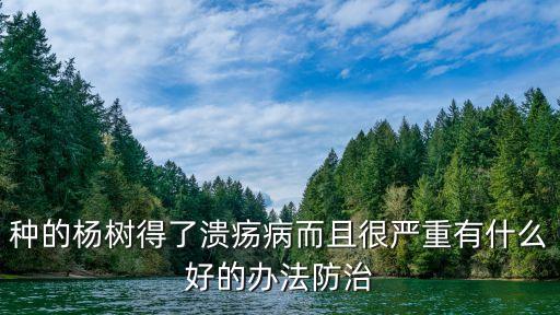 楊樹(shù)潰瘍病，楊樹(shù)潰瘍病用什么藥簡(jiǎn)單有效