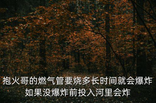 抱火哥，如果抱火哥獲得感動中國人物請你為抱火哥寫一段頒獎詞至少使用