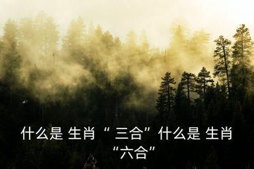 什么是 生肖“ 三合”什么是 生肖“六合”
