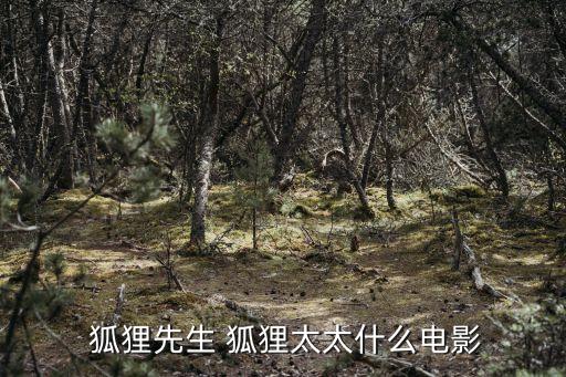  狐貍先生 狐貍太太什么電影