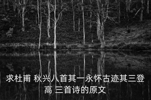 求杜甫 秋興八首其一永懷古跡其三登高 三首詩的原文