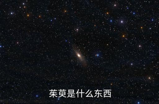 茱萸是什么,九月登高必備茱萸袋子