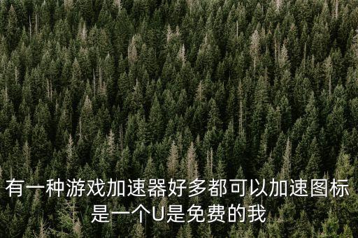 有一種游戲加速器好多都可以加速圖標是一個U是免費的我