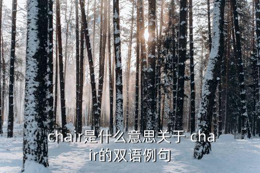 chair是什么意思