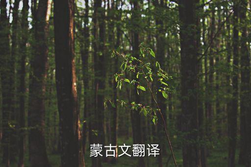 蒙古文翻譯
