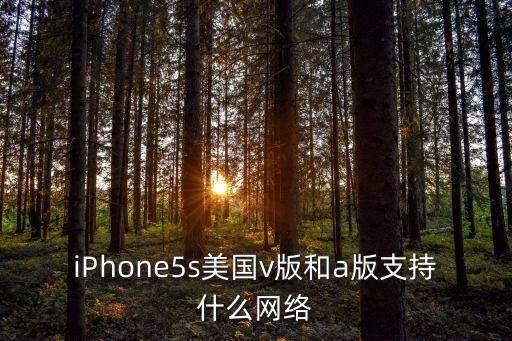 美國v,美國綠卡申請已過半中國應該是一家通信公司縮寫