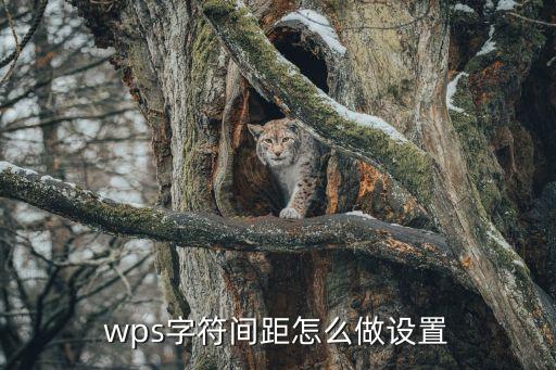 wps字間距怎么調，wps字間距如何設