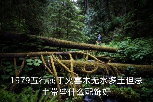 1979五行屬丁火喜木無水多土但忌土帶些什么配飾好