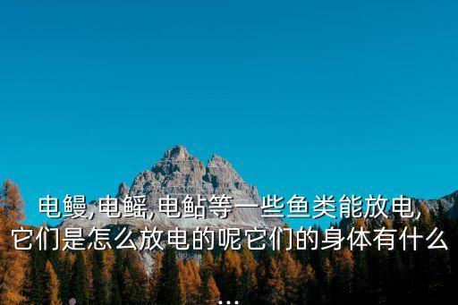 電鯰,神經(jīng)沖動(dòng)控制下發(fā)電器將魚類電能轉(zhuǎn)換為外放電能