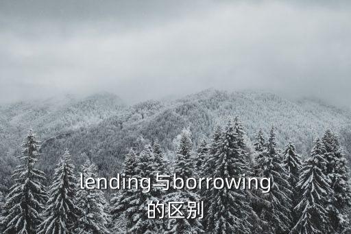 borrowing，BORROWING的意思