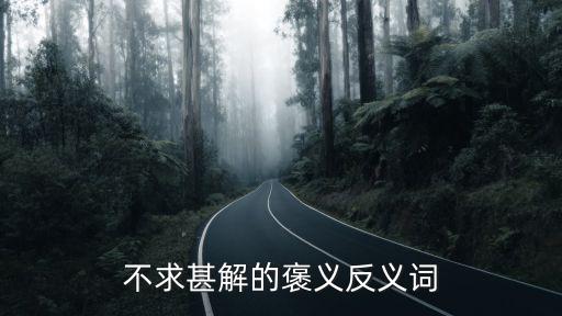 不求甚解的褒義反義詞