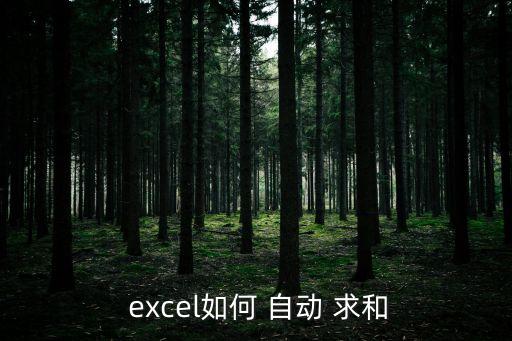  excel如何 自動 求和
