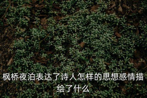 楓橋夜泊表達了詩人怎樣的思想感情描繪了什么