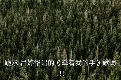 呂婷華,冷面男最愛女明星:吳君如偶像陳旭