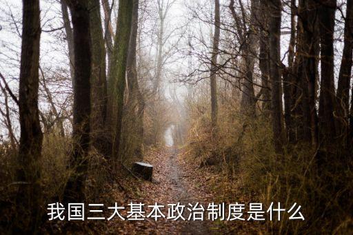 我國三大基本政治制度是什么