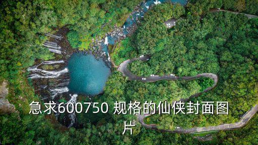 急求600750 規格的仙俠封面圖片