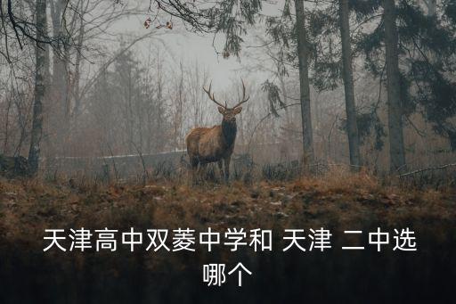 天津二中,天津高中和天津二中哪個是優秀學校?