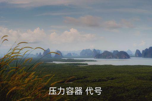 代號e,新型壓力容器滾子保持架采用歐洲最新標準設計