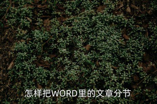 word怎么分節，word如何進行分節啊