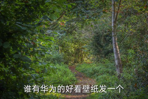 誰有華為的好看壁紙發一個