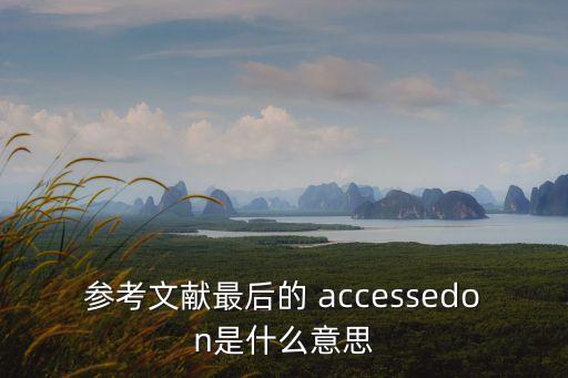 參考文獻最后的 accessedon是什么意思