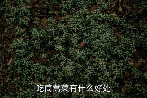 茼蒿菜的作用與功效，吃茼蒿有什么好處 茼蒿的功效與作用