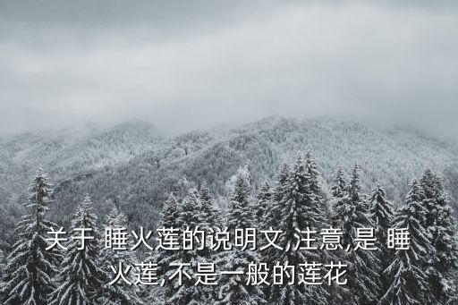 睡火蓮,火火蓮紫睡蓮之名來自荷蘭迪亞