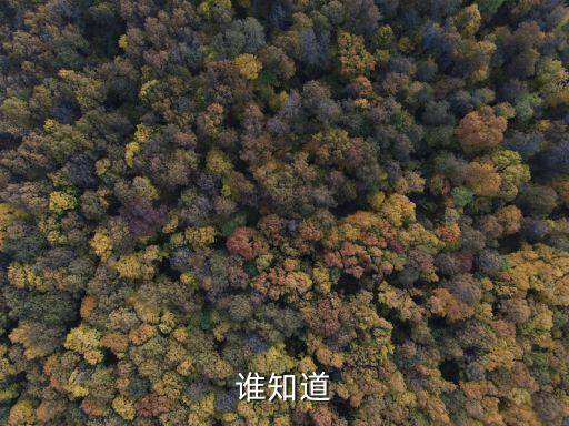 誰(shuí)知道,中峇魯廣場(chǎng)有人丟鞋和30元錢?原來是假的!