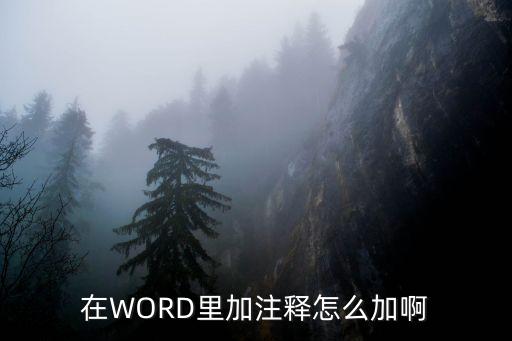 word注釋，word里的注釋功能怎么用