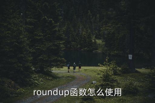 roundup函數(shù)怎么使用