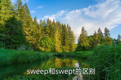 sweep是什么意思,打掃一把拖把把垃圾送回垃圾桶!