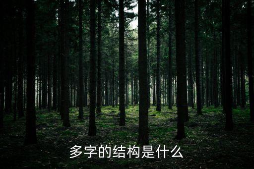 多字的結構是什么