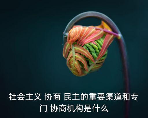 協商民主,民主協商是指決策者向置身事外的人征求意見
