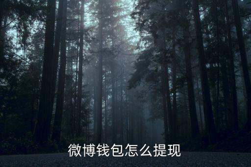微博錢包，新浪微博錢包從哪進