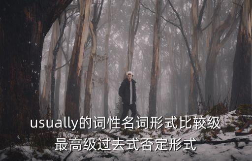 usually的詞性名詞形式比較級最高級過去式否定形式